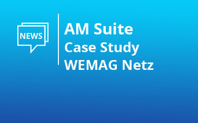 Case Study WEMAG Netz – Netzanschlussportal